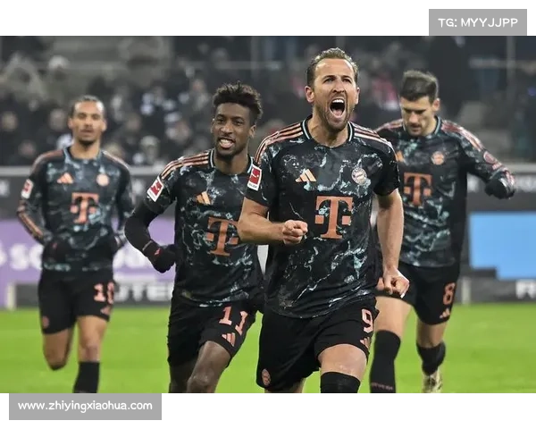 德甲竞争格局分析：拜仁霸主地位面临的挑战与未来发展潜力