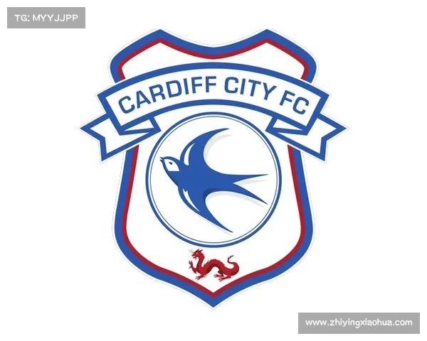 全面解析加的夫城俱乐部历年参与的各项主要足球联赛概况全貌