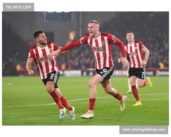 如何了解加的夫城足球队参与的各大联赛及其历史表现