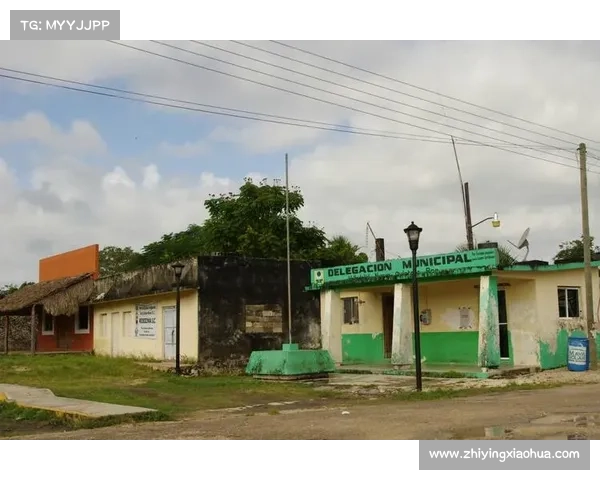 探索北美洲精彩杯赛文化的多样性与影响力之旅 探索北美洲精彩杯赛文化的多样性与影响力之旅