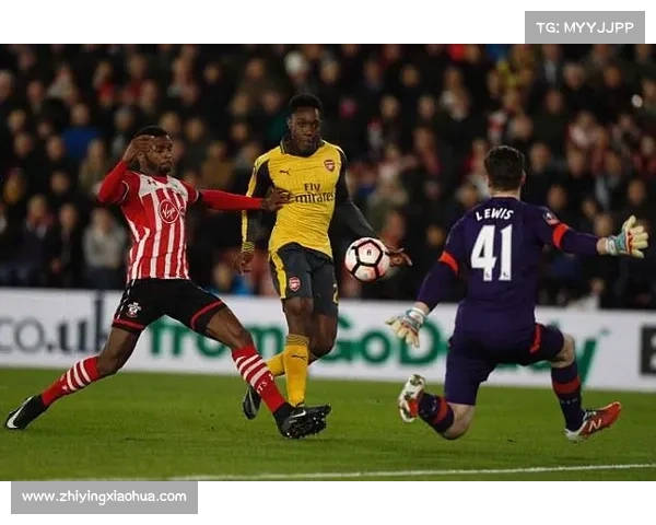 揭秘维尔贝克为何被称为黑贝背后的有趣故事与由来 揭秘维尔贝克为何被称为黑贝背后的有趣故事与由来