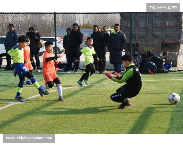 新手必看足球大赛参赛流程与报名指南详细解析 新手必看足球大赛参赛流程与报名指南详细解析