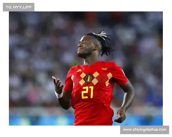 深入探讨如何全面了解比利时球星巴舒亚伊所使用的语言体系