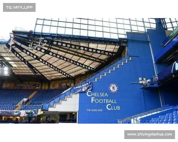 如何深入了解斯坦福桥俱乐部的组织架构与管理模式